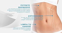 Tratamiento para la obesidad en ciudad de México y zona conurbada.